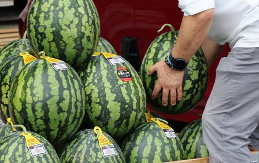 13일 서울 송파구 가락동농수산물도매시장에서 시민들이 수박을 구입하는 모습. 연합뉴스