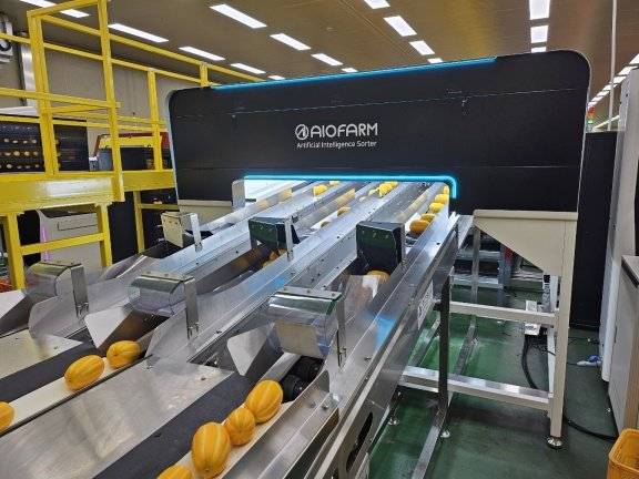 경북 성주 월항농협 산지유통센터(APC)에서는 AI 선별기술을 활용하고 있다. 농협 제공