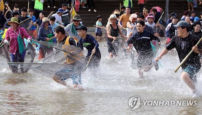 경쾌한 은어 반두잡이 [연합뉴스 자료사진]