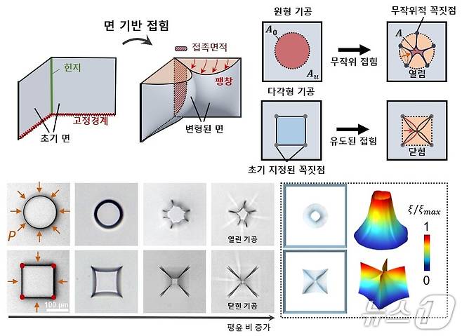 하이드로젤 미세 기공의 변형 메커니즘 모식도 및 실험·시뮬레이션 결과(한국연구재단 제공) /뉴스1