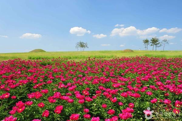 조문국사적지 (ⓒ한국관광공사 포토코리아-이옥표)