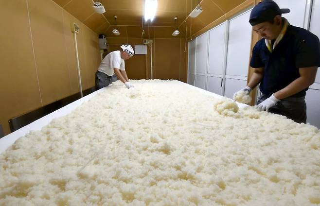 니혼슈 주조 과정/요미우리신문 디지털