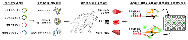 연구 관련 이미지. ⓒ한국과학기술연구원