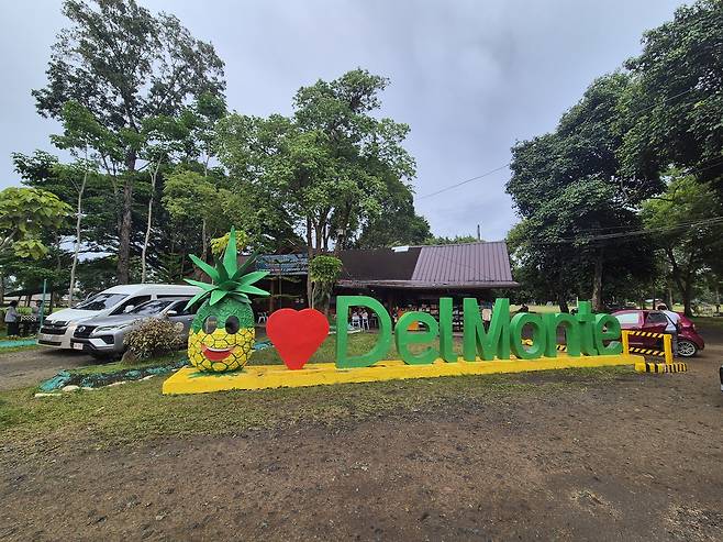사진= 델몬테 파인애플 농장