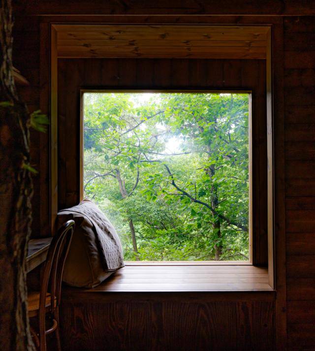 경기 평택시 '트리하우스' 톰소여의 창가 풍경. 왼쪽으로 트리하우스를 관통하는 나무가 보인다.