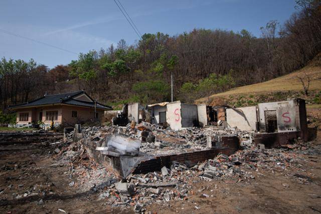 산불로 전소된 김범대 자택. 안동=남동균 인턴기자