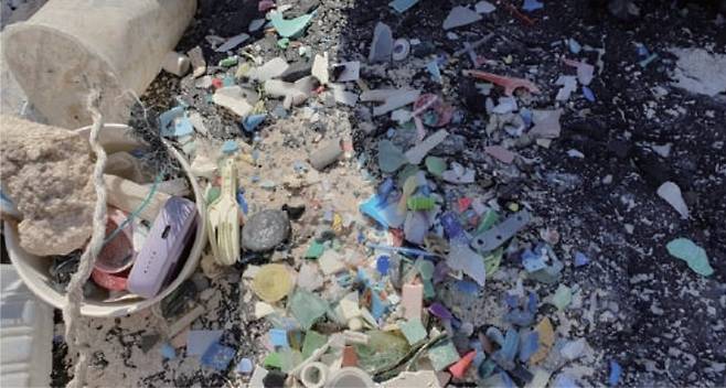 해안가 쓰레기 (김지환 바다쓰기 대표)