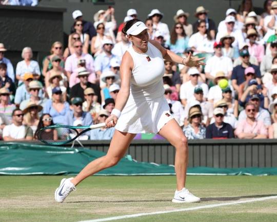 어맨다 아니시모바. 사진[UPI=연합뉴스]