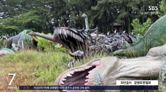 [SBS 보도화면 갈무리]
