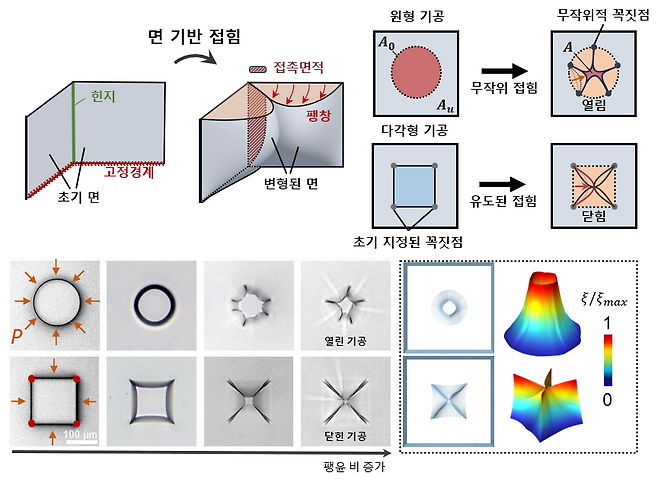 하이드로젤 미세 기공의 변형 메커니즘 모식도 및 실험·시뮬레이션 결과.[서울과학기술대학교 제공]