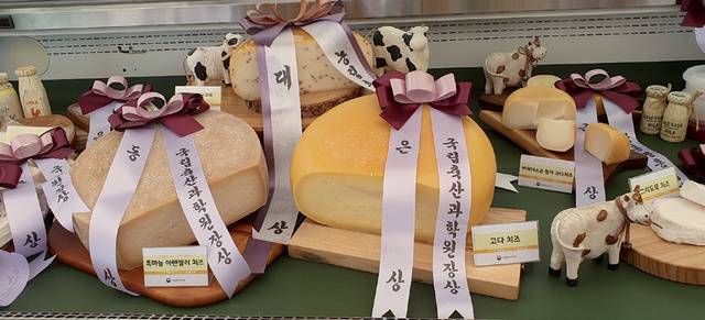 어머니 손영숙 씨가 생산한 하우다치즈(고다치즈)는 목장형 자연치즈 콘테스트에서 16회 대상에 이어 17회 은상을 수상했다.