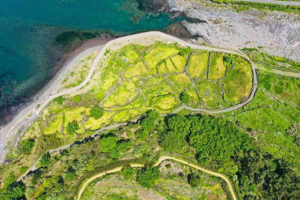 4·3유적지 중 한 곳인 곤을동 터. 돌담만 덩그러니 남았다.