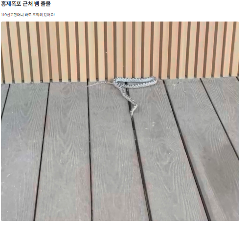 사진= 당근마켓 캡처