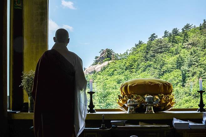 적멸보공에서 바라본 불뇌사리보탑[사진/백승렬 기자]