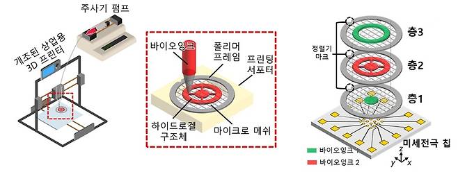 3층 미니 뇌의 신호 전달 과정 측정  [KAIST 제공. 재판매 및 DB 금지]