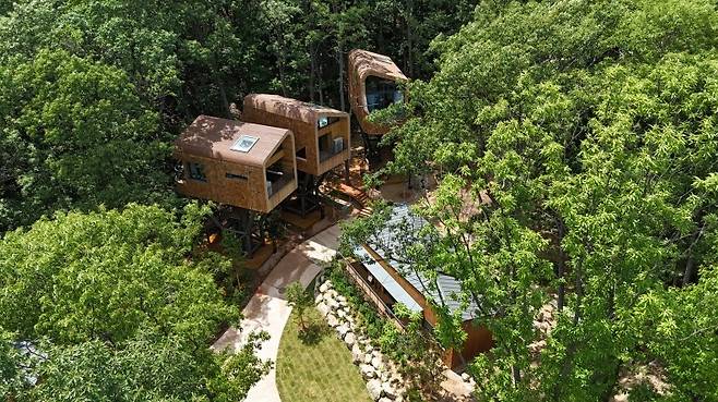 수락 휴 내 트리하우스 모습 [서울시 제공. 재판매 및 DB 금지]