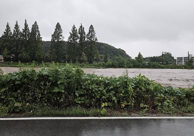 사진 = 시청자 제보