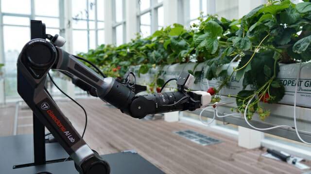 대동에이아이랩 로봇팔 (사진=대동)