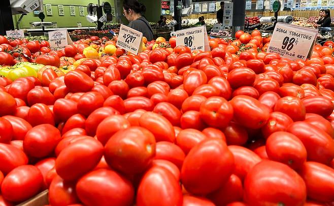 15일 미국 텍사스주 휴스턴의 한 상점에 멕시코산 토마토들이 진열돼 있다. /AFP 연합뉴스