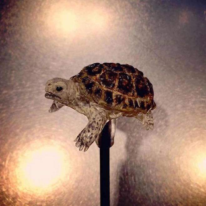 7fb98375b48461a46de78ee11287206f6a61a1bf57e6436f3a732ecef1e63fb59df1f1f6f4cf9123c883230f822ce5e2f1cdf9b74ac358