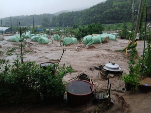 호우경보가 내려진 17일 오전 충남 예산군 봉산면에서 산사태로 떠밀려온 흙더미가 한 축사를 덮쳐 소가 매몰돼 있다.   [독자 제공=연합뉴스]