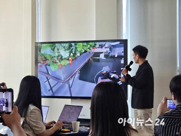 17일 서울 서초구 대동 서울사무소에서 열린 미디어 간담회에서 원격조작으로 두 개의 로봇 팔을 활용한 딸기 수확, 잎 제거 작업 및 데이터 수집 시연이 진행되고 있다. [사진=최란 기자]