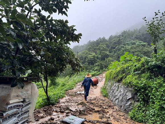 호우경보가 내려진 경북 청도군 구미리 일대에서 산사태가 발생해 관계 당국이 피해 여부를 확인하고 있다. 사진은 피해 신고 현장. 2025.7.17 [사진=연합뉴스]