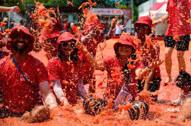 ▲ 사진은 지난해 열린 2024 화천토마토축제에 참가한 방문객들이 토마토 풀에서 환한 미소를 보이고 있다.