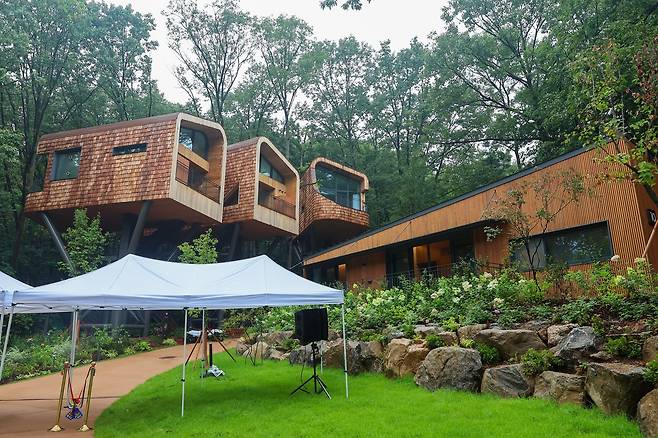 Treehouse-style cabins rise above the forest floor at Surak Hyu, Seoul’s first urban forest retreat. (Nowon-gu Office)