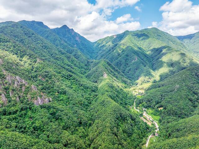 강원도 동해시 신흥마을에서 바라본 ‘동해소금길’ 1코스 일대. 가운데 움푹한 곳이 백두대간 댓재와 백봉령 사이에 있는 원방재다.