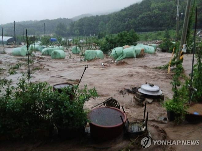 집중호우로 물에 잠긴 예산마을 [사진=연합뉴스 독자제공]
