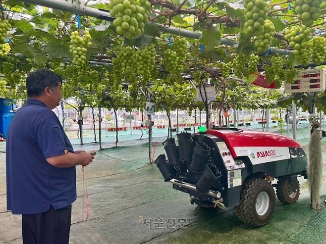 이완용 송산포도 팜스토리 대표가 16일 농장에서 무인자율방제기를 조작하고 있다.