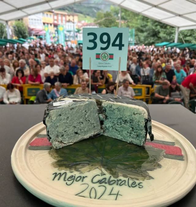 세계에서 가장 비싼 치즈로 기네스 세계기록에 등재된 치즈. 사진 제공=기네스 세계기록