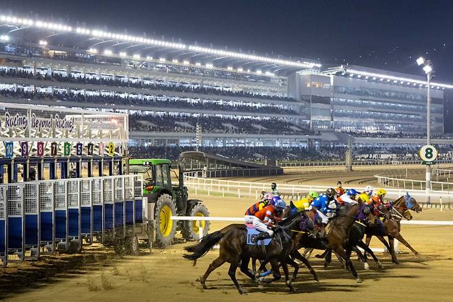한국마사회는 여름철 경주로 관리에 심혈을 기울이고 있다. 야간경주의 즐거움을 느낄 수 있는 것도 이 덕분이다. 사진제공 | 한국마사회