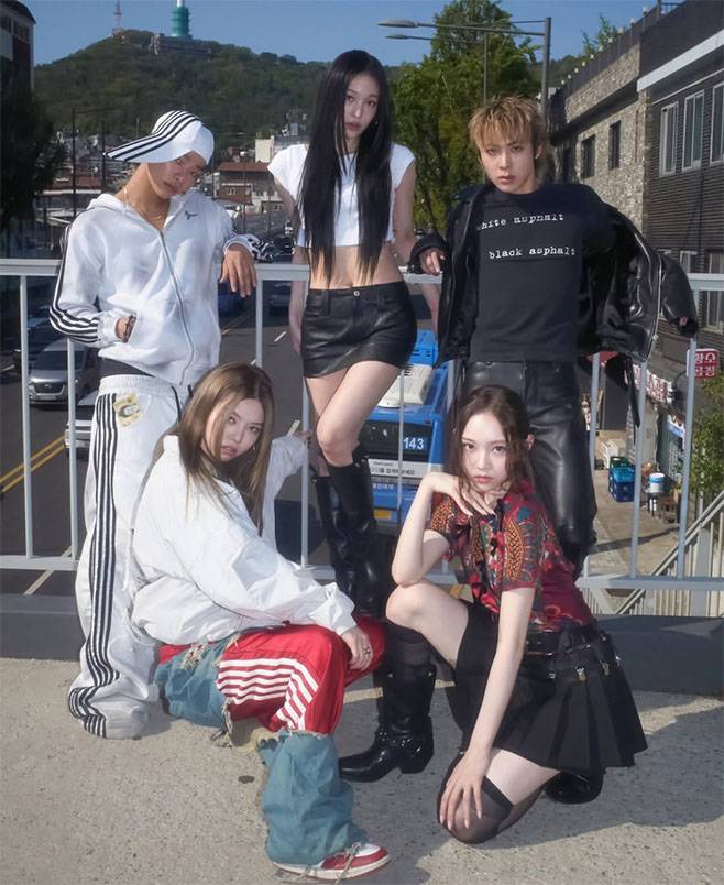 티브이데일리 포토