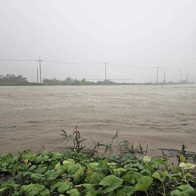오송읍 상봉2리 인근 조천 [청주시 제공. 재판매 및 DB 금지]