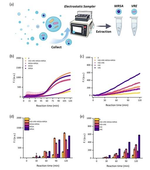 공기 중 항생제 내성균 검출 결과  [한국생명공학연구원 제공. 재판매 및 DB 금지]