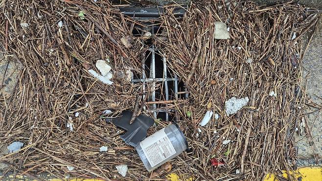 오물에 막힌 1번 국도변 배수구 [양영석 기자]