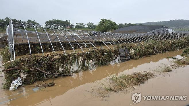 초토화된 비닐하우스 (서산=연합뉴스) 정윤덕 기자 = 17일 오전 충남 서산에 많게는 400㎜ 넘는 물 폭탄이 쏟아진 가운데 서산시 음암면 유계리의 초토화된 비닐하우스 뼈대에 부유물이 잔뜩 걸려 있다. 2025.7.17 cobra@yna.co.kr