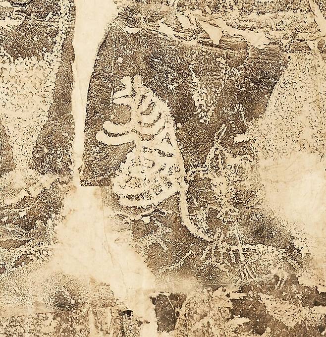 대곡리 반구대 암각화 탁본 세부모습 (호랑이 등). 동국대박물관 제공