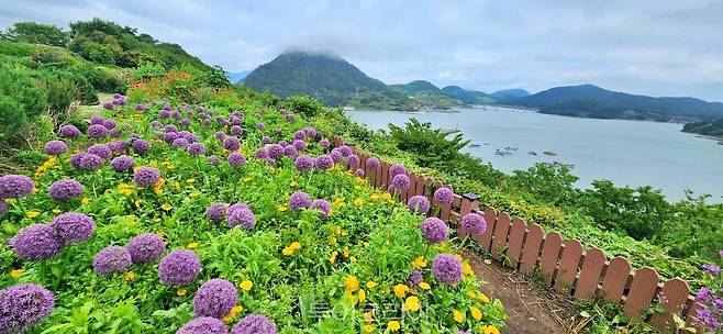 고흥 쑥섬