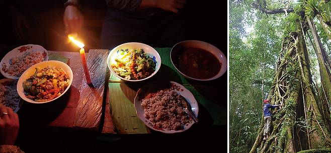 정글 트레킹에서 맛본 최고의 저녁 밥상, 울창한 숲과 계곡을 따라 즐기는  정글 트레킹