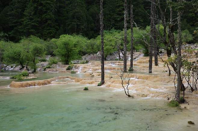 79e9f602b4836c83239e8ee4479c70642c815a2b6d04be03cda5ff29d074aedc29a630280b41605071d3545cc2e10ec7cc4765c07694