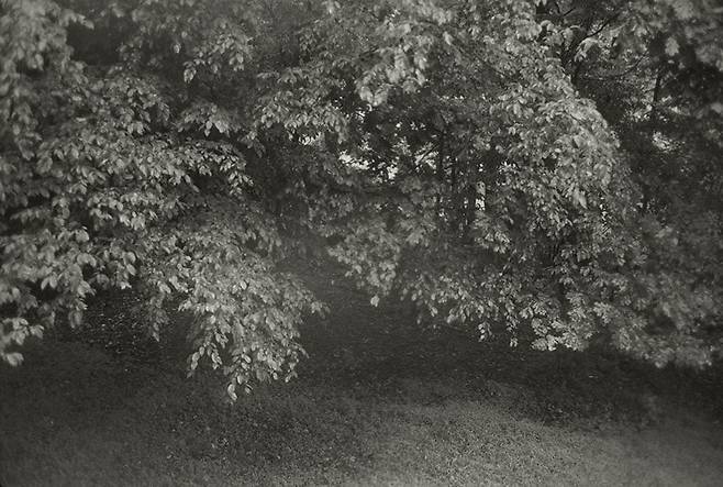 안목출판사 제공