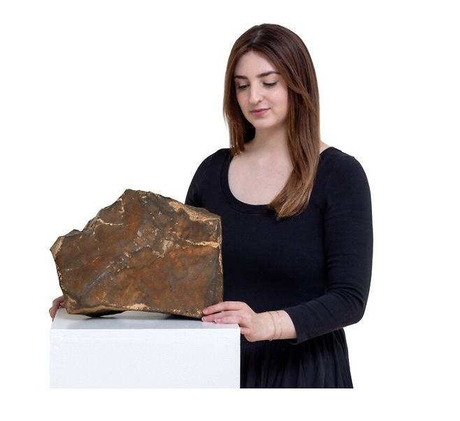 74억원에 낙찰된 화성 운석/사진=소더비 홈페이지, 뉴스1