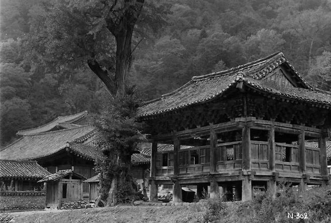 국립수목원이 광복 80년을 맞아 100년 전 금강산의 모습을 담은 사진 자료를 공개했다. 사진은 장안사(일부). 어니스트 헨리 윌슨/국립수목원 제공