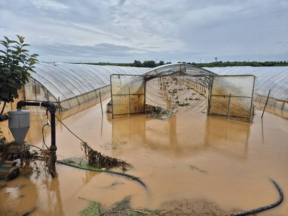 충남 예산군 삽교읍 하포2리는 전날 폭우로 비닐하우스 등 농경지가 물에 잠겼다. 최종권 기자