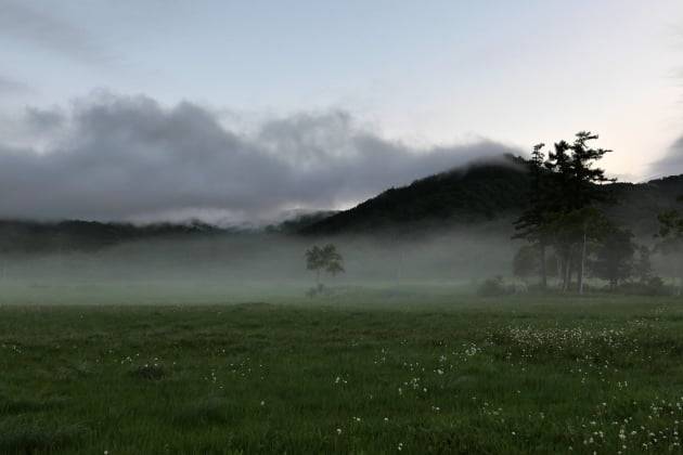오제의 새벽 풍경 / JAPAN NOW