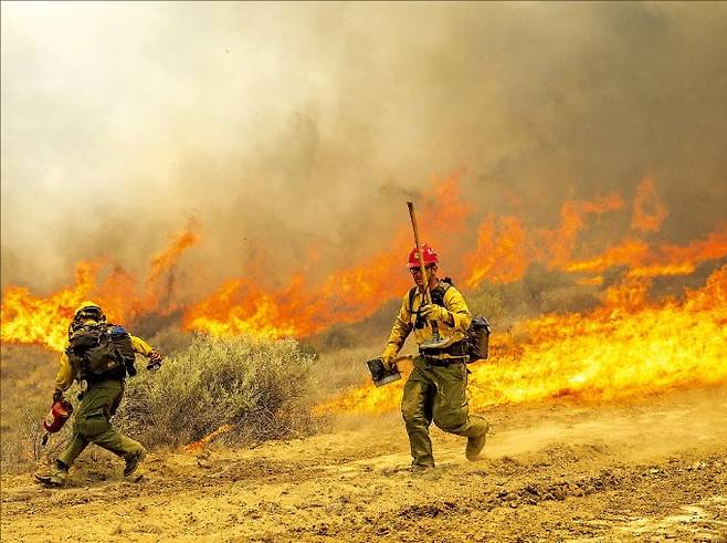 지난 3일 미국 캘리포니아 샌루이스오비스포 카운티에서 발생한 산불을 진화하기 위해 소방관들이 동분서주하고 있다.  /AP연합뉴스