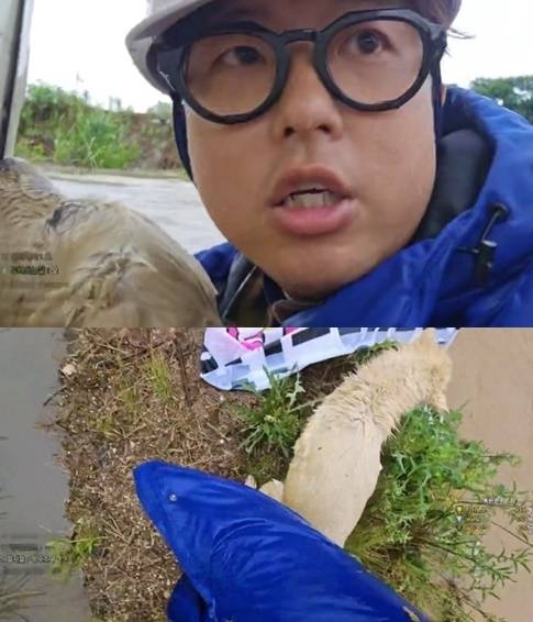 [온라인 커뮤니티]